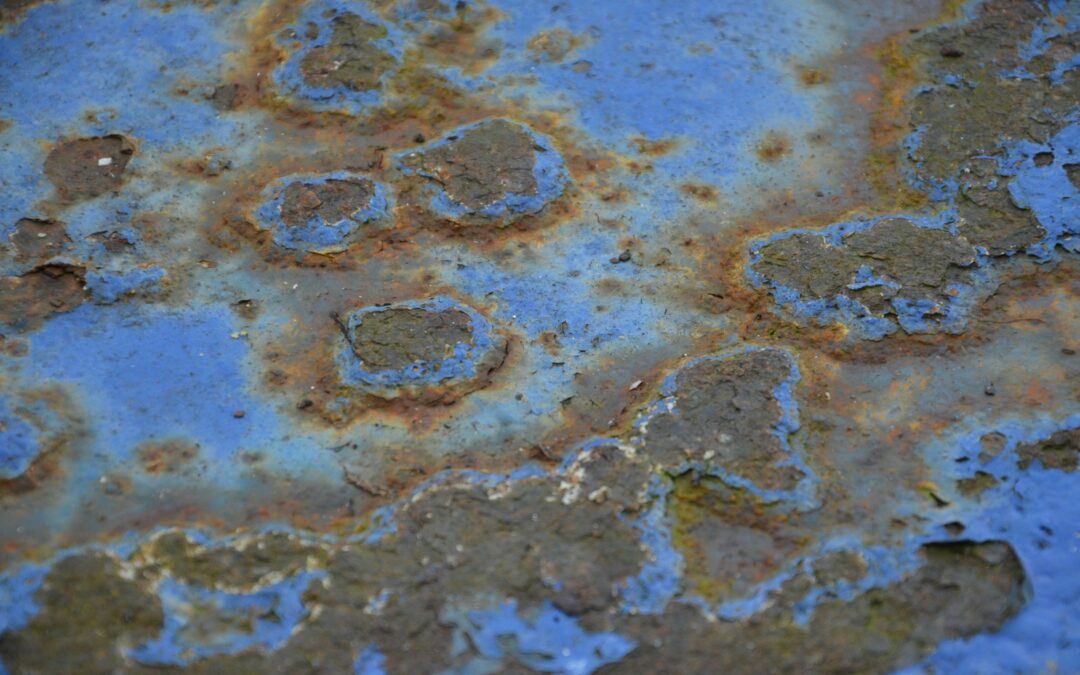 Toxic Mold & Landlord Negligence: Suing for Indoor Environmental Hazards in Georgia
