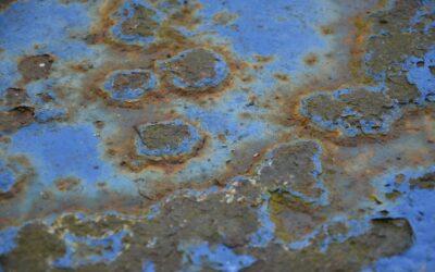 Toxic Mold & Landlord Negligence: Suing for Indoor Environmental Hazards in Georgia