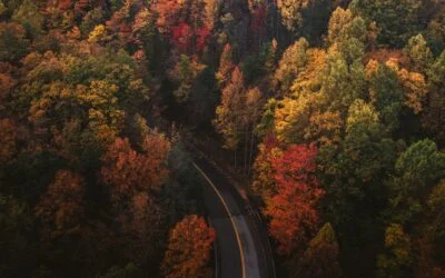Short term rental injuries in Georgia what to do after an Airbnb or VRBO accident this fall