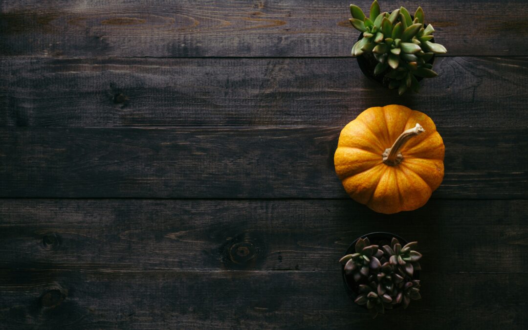 Thanksgiving travel week crashes in Georgia what to know before you hit the road