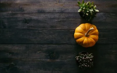 Thanksgiving travel week crashes in Georgia what to know before you hit the road