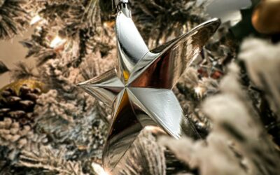 Holiday decorating falls and ladder accidents in Georgia how homeowners and renters can protect their claim