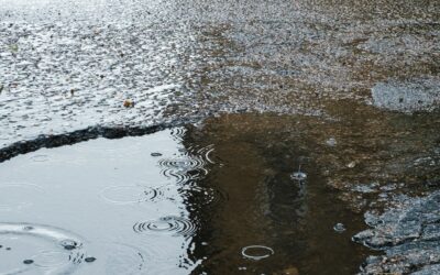 Pothole and road-defect crashes in Georgia how to protect your claim when winter roads bite back